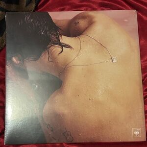 Harry Styles ‘Harry Styles’ vinyl record. Has NOT been opened.